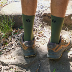 Chaussettes OLIVE